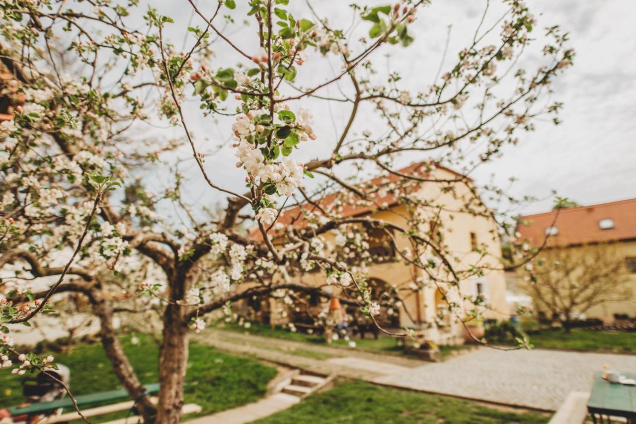 Boutique Apartman Speicher Prague Exterior photo